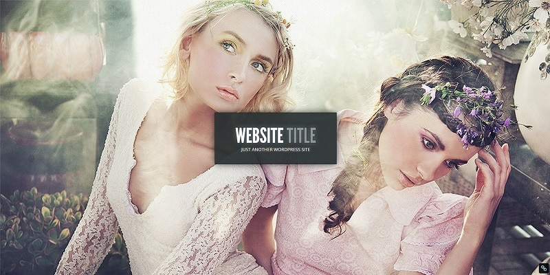  <span>Elegantthemes</span>
