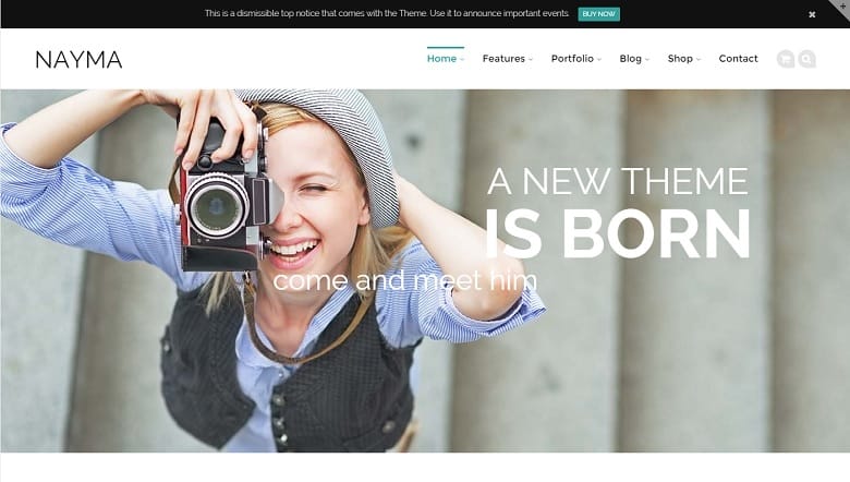  <span>ThemeForest</span>