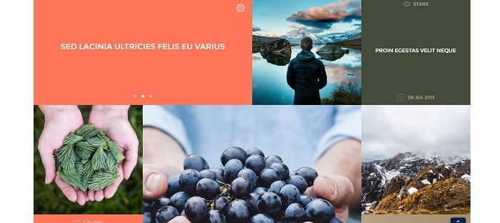  <span>Tesla Themes</span>