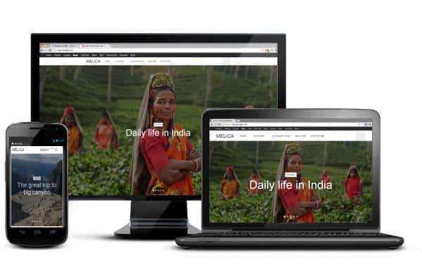  <span>ThemeForest</span>